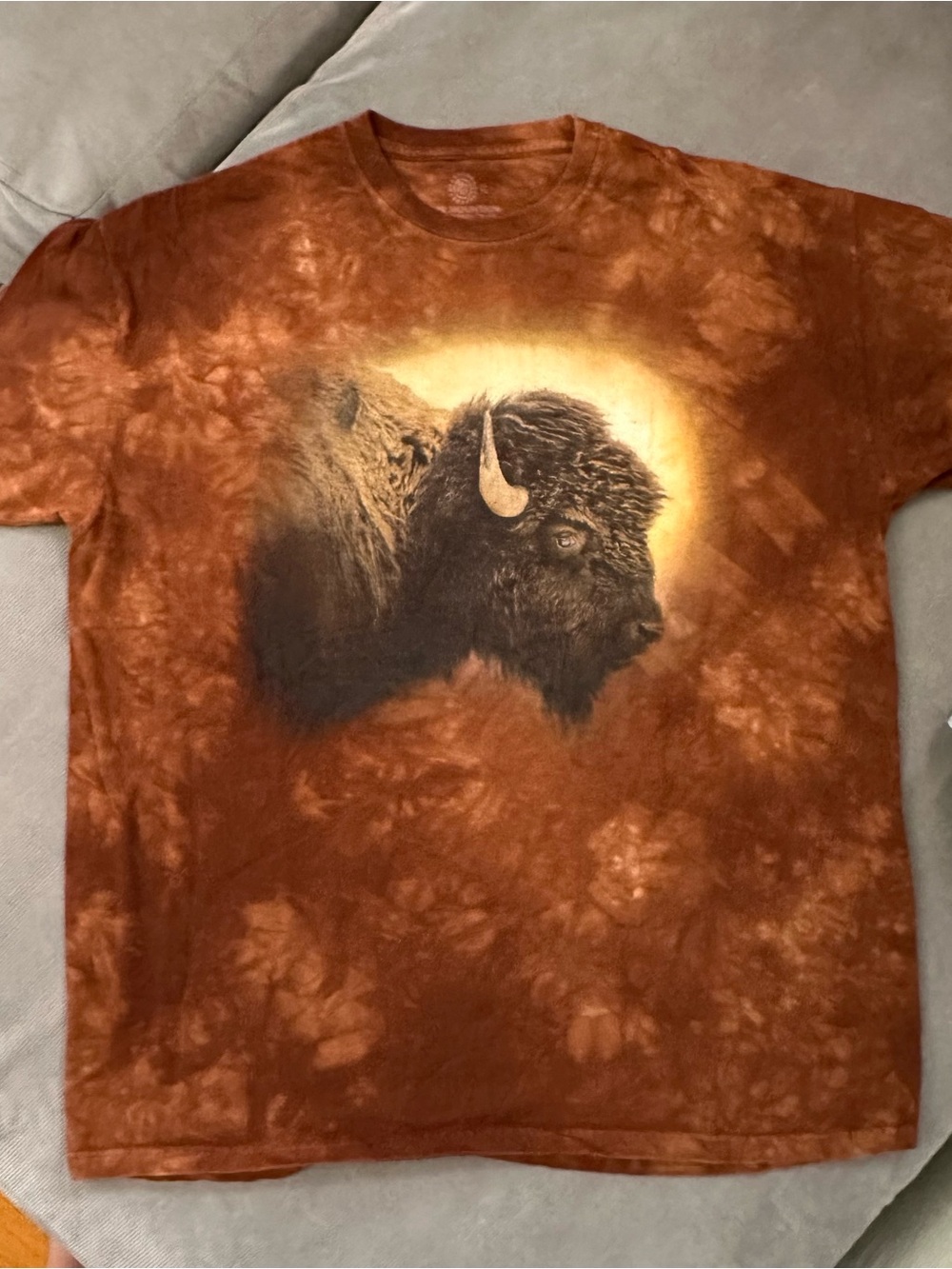 The Mountain Buffalo Bison Bozeman Montana Graphic Tie Dye T-Shirt Brown Mens XL